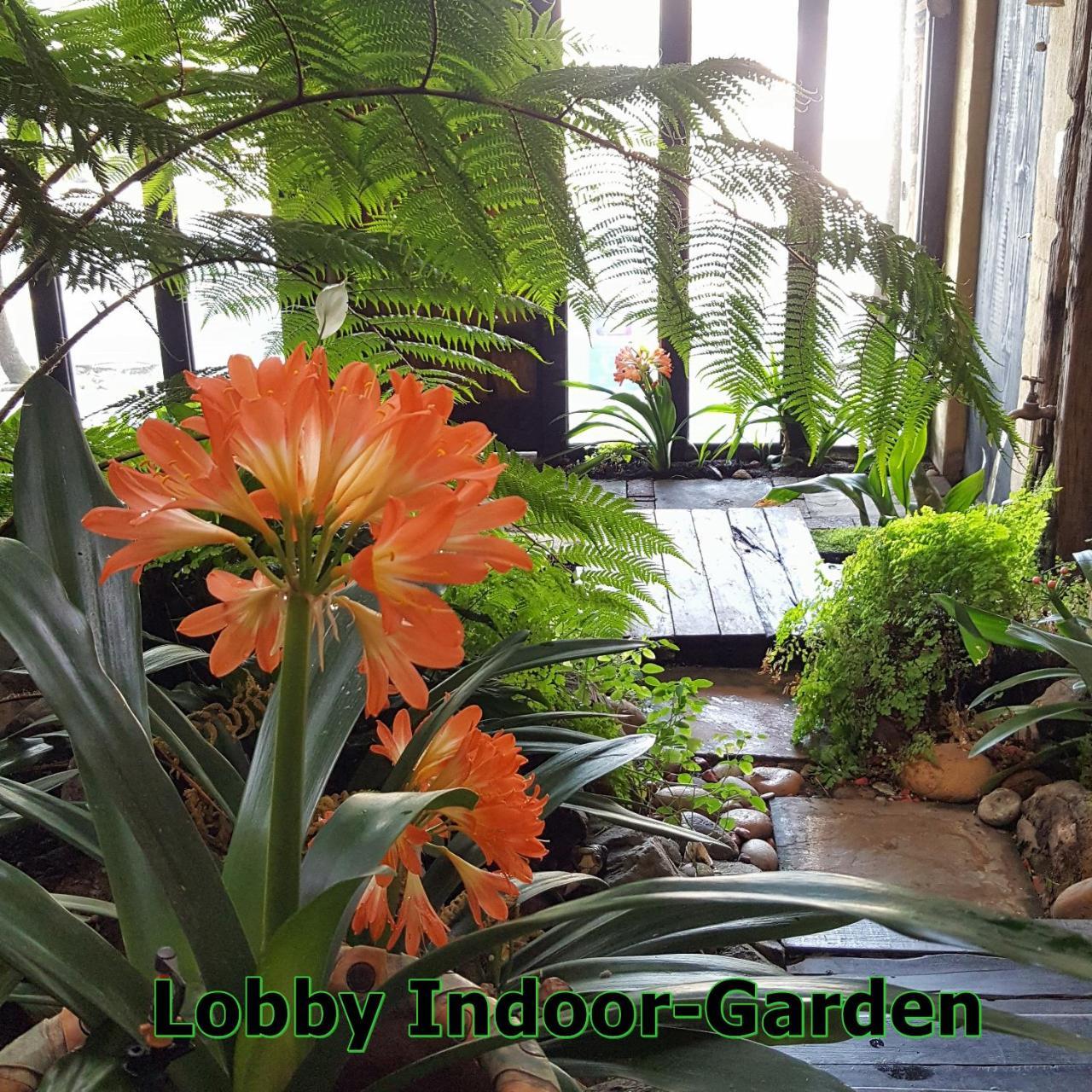 הרמנוס Hornbill House Self Catering Accommodation מראה חיצוני תמונה